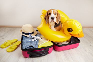 Similar image 21618773