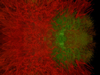 Similar image 21558319