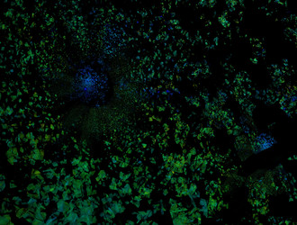 Similar image 21616497