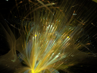 Similar image 21617263