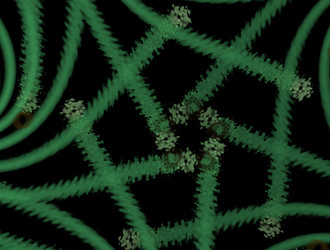 Similar image 21619241