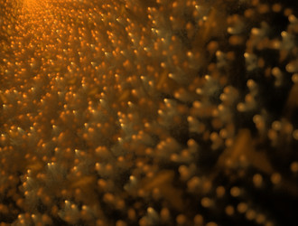 Similar image 21558191