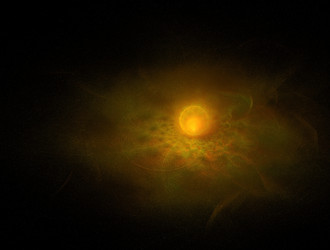 Similar image 21558325