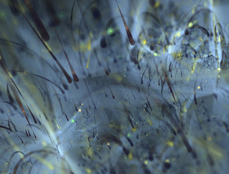 Similar image 21557953