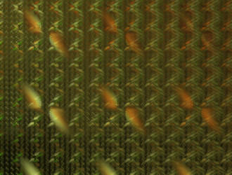 Similar image 21626244