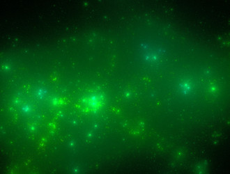 Similar image 21623906