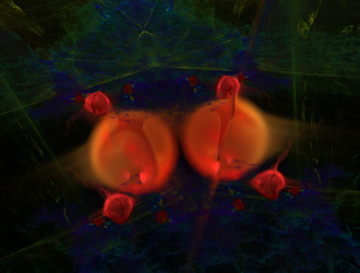 Similar image 21612413