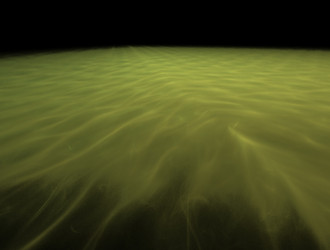 Similar image 21613130