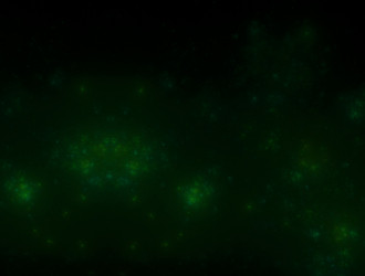 Similar image 21614853