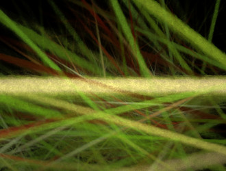 Similar image 21615985