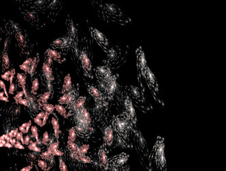 Similar image 21616510