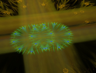 Similar image 21619698