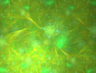 Similar image 21558210