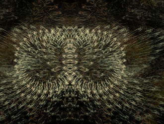 Similar image 21620744