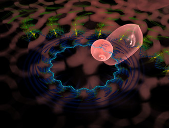 Similar image 21616003