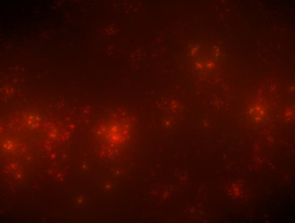 Similar image 21616005