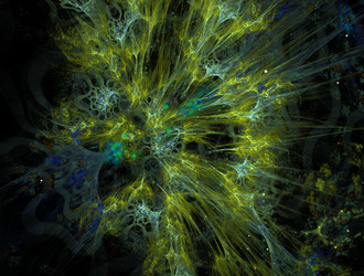 Similar image 21616952