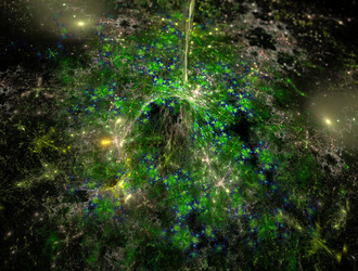 Similar image 21618386