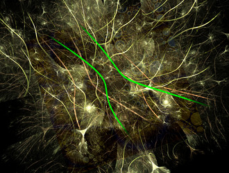 Similar image 21623342