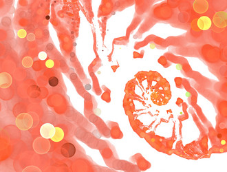 Similar image 21624724