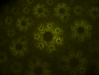 Similar image 21620427