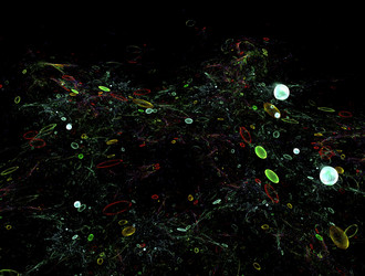 Similar image 21620428