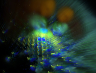 Similar image 21625775