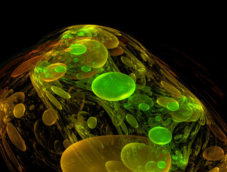 Similar image 21625779