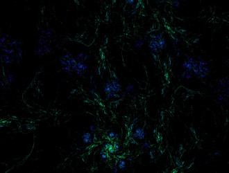 Similar image 21557765