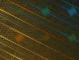 Similar image 21616529