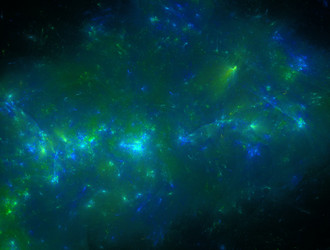 Similar image 21616967