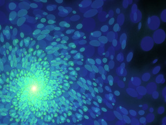 Similar image 21621082