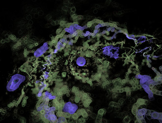 Similar image 21624232