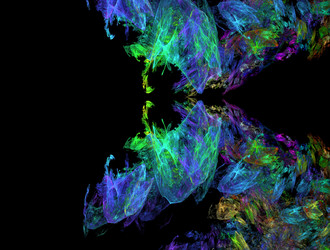 Similar image 21558805