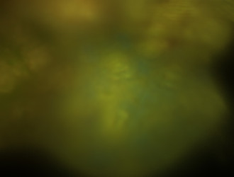 Similar image 21625440