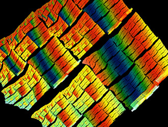 Similar image 21616051