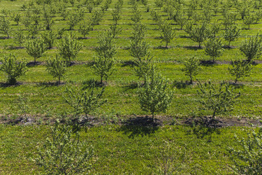 Similar image 21628164