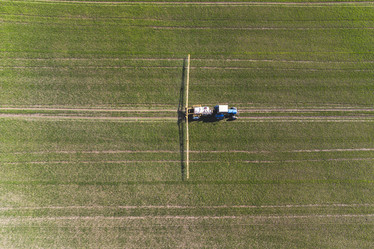 Similar image 21628182