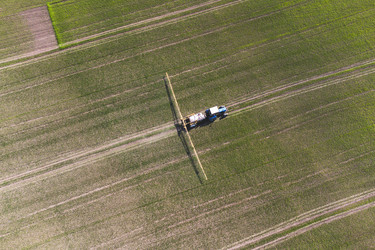 Similar image 21628184