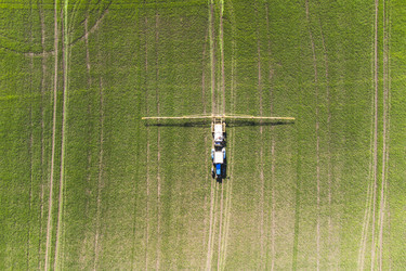 Similar image 21628598