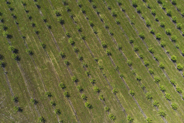 Similar image 21628600