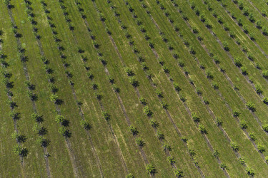 Similar image 21628601