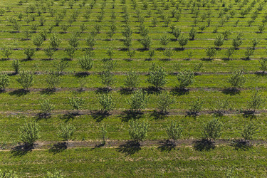 Similar image 21628602