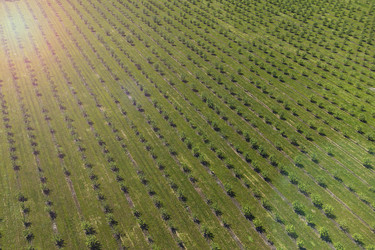 Similar image 21628603