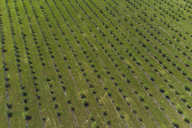 Similar image 21628604