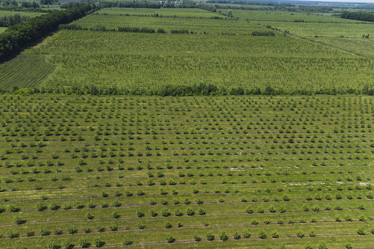 Similar image 21628607