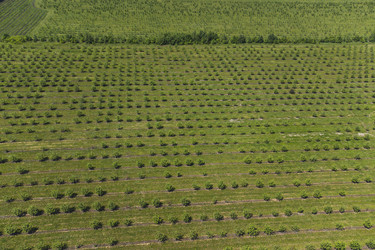 Similar image 21628609