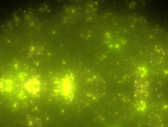 Similar image 21625976