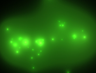 Similar image 21558232