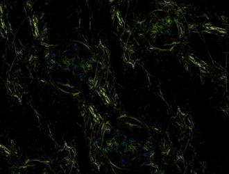 Similar image 21558619